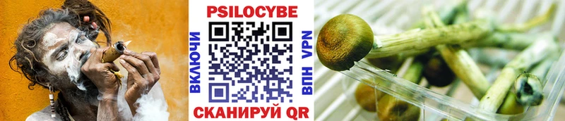 Галлюциногенные грибы прущие грибы  наркота  Александровск 