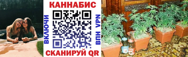 МАРИХУАНА White Widow  Александровск 